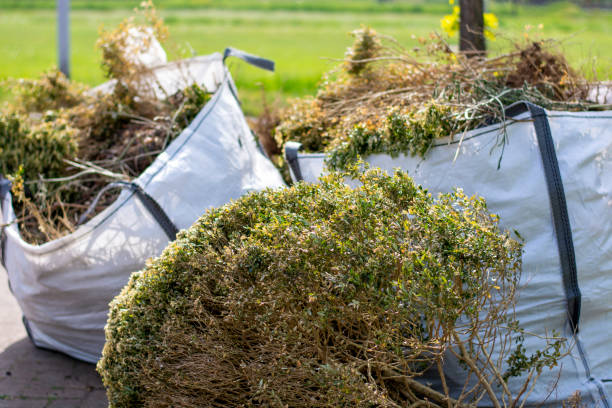 Best Commercial Cleanout Services  in Orwigsburg, PA